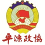 平凉政协ico