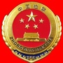 平鲁检察ico