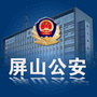 屏山公安ico
