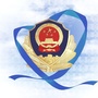 商丘市公安局平原分局ico