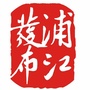 浦江发布ico