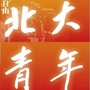 北大青年ico