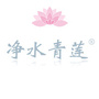 净水青莲公众号ico