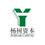 杨树资本集团公众号ico