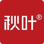 秋叶PPTico