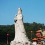 莆田身边事公众号ico