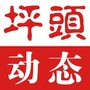 坪头动态ico
