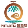 出彩葡萄架ico