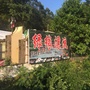 莆田萩芦绿缘漂流ico