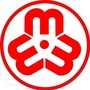坡头女性ico