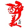 醉美普定ico