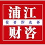 浦江财咨ico
