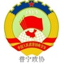普宁市政协ico