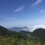 自然普陀ico