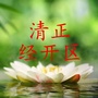 清正经开区公众号ico