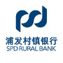 平阳浦发村镇银行ico
