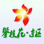 攀枝花市东区人民政府ico