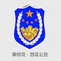 攀枝花西区公安ico
