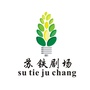 攀枝花市西区文化馆ico
