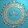 西安市庆安初级中学ico