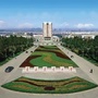 青岛农业大学团委ico