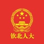 钦北人大ico