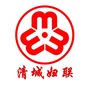 清城妇联ico