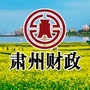 肃州财政ico