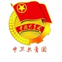 青春中卫ico