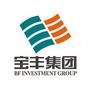 宝丰集团ico