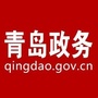 青岛政务网ico