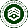 青岛实验高中附属中学ico