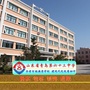 青岛63中ico