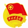 青岛市团校ico