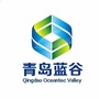 青岛蓝谷ico