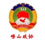 崂山政协ico