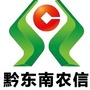 黔东南农信ico