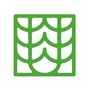 青岛青藤社会工作服务中心ico