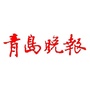 青岛晚报官微公众号ico