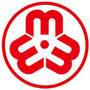 祁东妇联ico