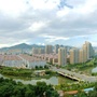 微郑庄ico