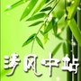 清风中站ico