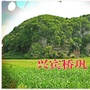 兴宾桥巩ico