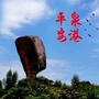 平安泉港ico