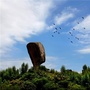 泉港文体旅游ico