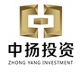 前海中扬投资ico