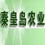 秦皇岛农业ico