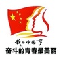 青海青年发展计划公众号ico