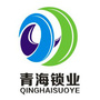 衢州青海锁行ico