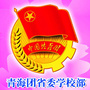 青海省学生联合会ico